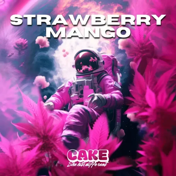 Strawberry Mango - 1.25 Grams - Sativa - Designer Distillate - Image 4
