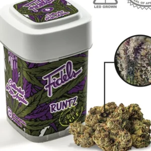 FIDEL RUNTZ