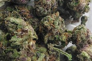 Gelato 3.5g