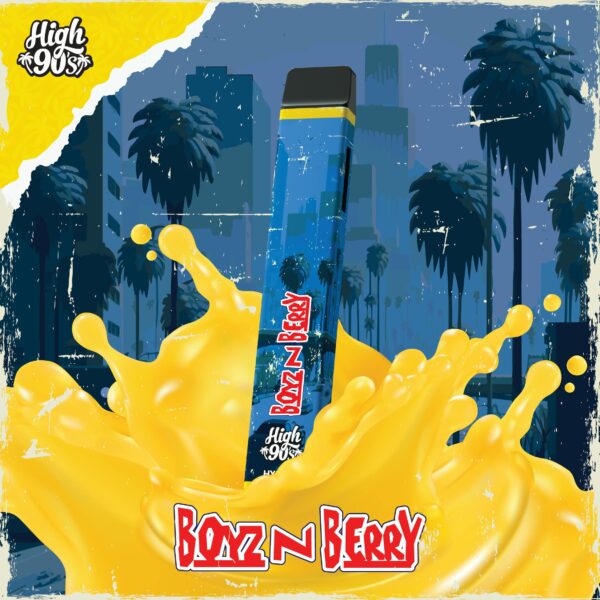 High 90's - Boyz N Berry - 1G - All In One - Image 2